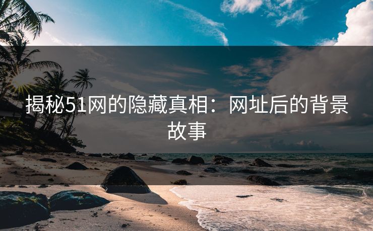 揭秘51网的隐藏真相：网址后的背景故事
