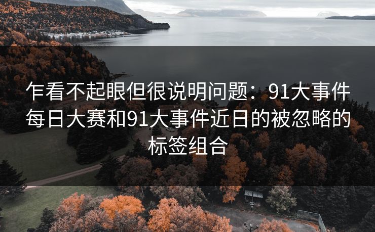 乍看不起眼但很说明问题：91大事件每日大赛和91大事件近日的被忽略的标签组合