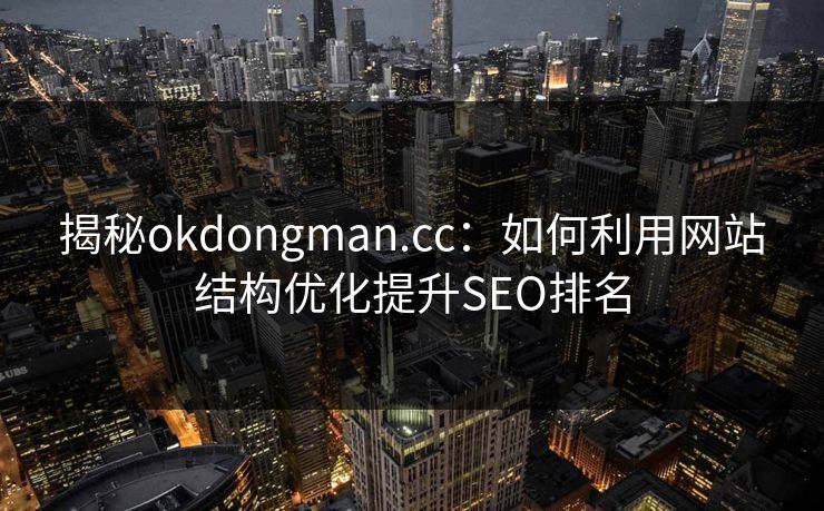 揭秘okdongman.cc：如何利用网站结构优化提升SEO排名