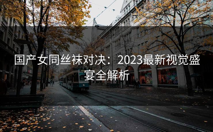 国产女同丝袜对决：2023最新视觉盛宴全解析